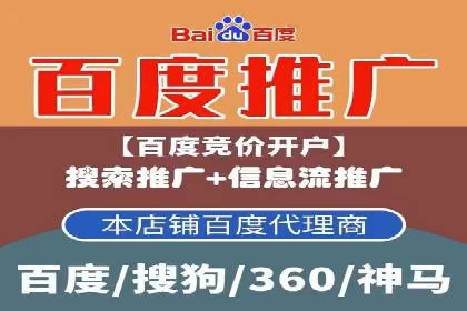 行业领先企业的SEM代理案例剖析